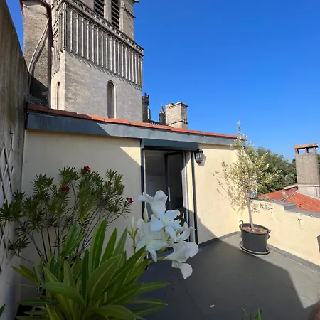 Appartement Le Logis Du Chanoine, 50 M2&terrace Face To Cathedral *