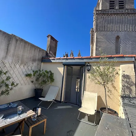 Le Logis Du Chanoine, 50 M2 And Terrace Face To Cathedral Apartament Béziers