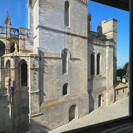 Le Logis Du Chanoine, 50 M2 And Terrace Face To Cathedral *