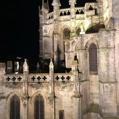 Lägenhet Le Logis Du Chanoine, 50 M2 And Terrace Face To Cathedral *