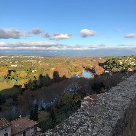 Le Logis Du Chanoine, 50 M2&terrace Face To Cathedral *
