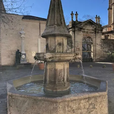 Apartment Le Logis Du Chanoine, 50 M2 And Terrace Face To Cathedral *