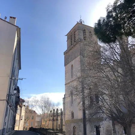 Le Logis Du Chanoine, 50 M2&terrace Face To Cathedral