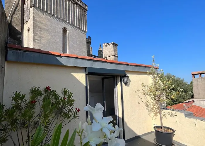 Apartament Le Logis Du Chanoine, 50 M2 And Terrace Face To Cathedral *