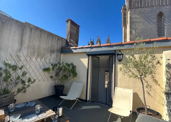 Le Logis Du Chanoine, 50 M2 And Terrace Face To Cathedral Apartamento Béziers