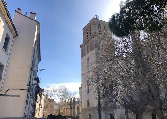 Le Logis Du Chanoine, 50 M2 And Terrace Face To Cathedral